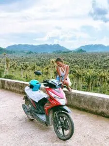 things to do in siargao motorbike coconut grove view