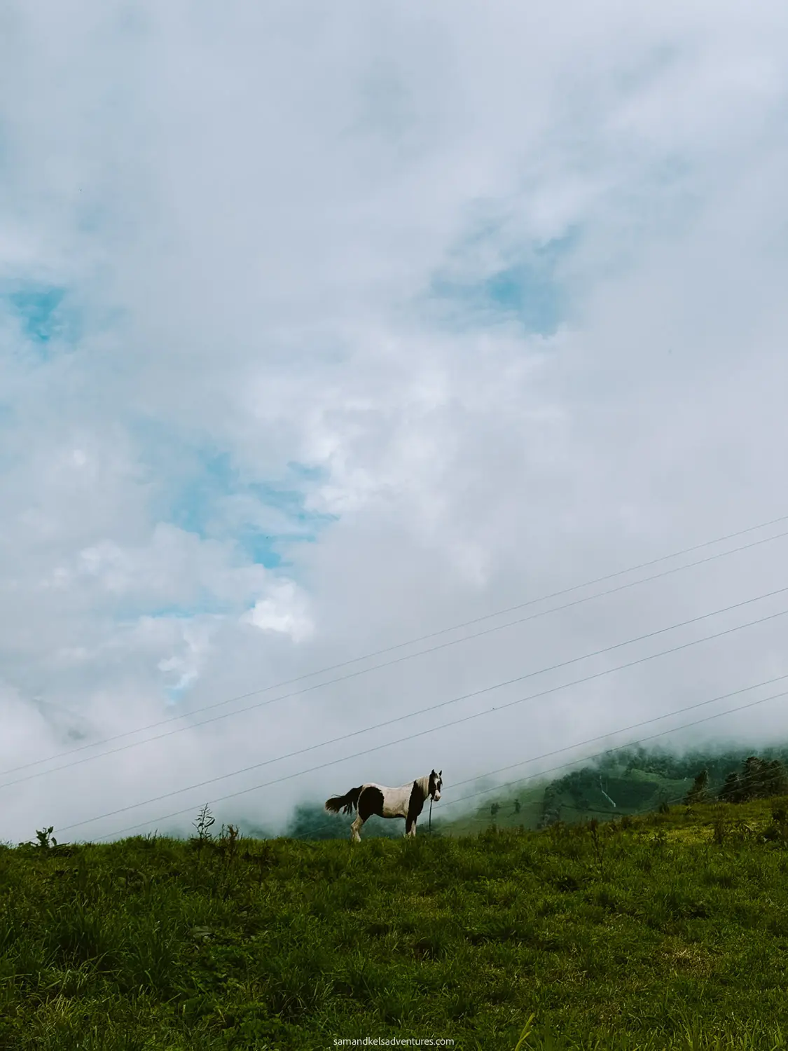 things to do in banos horse