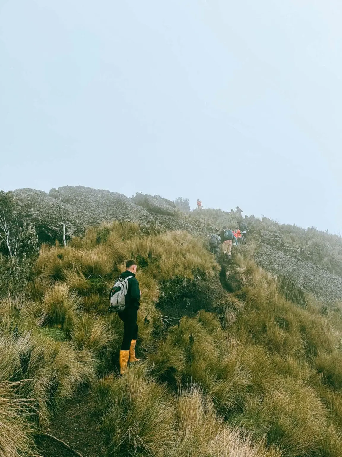 secret garden cotopaxi cover