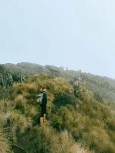 secret garden cotopaxi cover