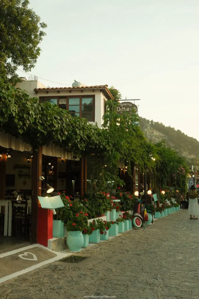 traveling to greece tips road and green leave on cobblestone street