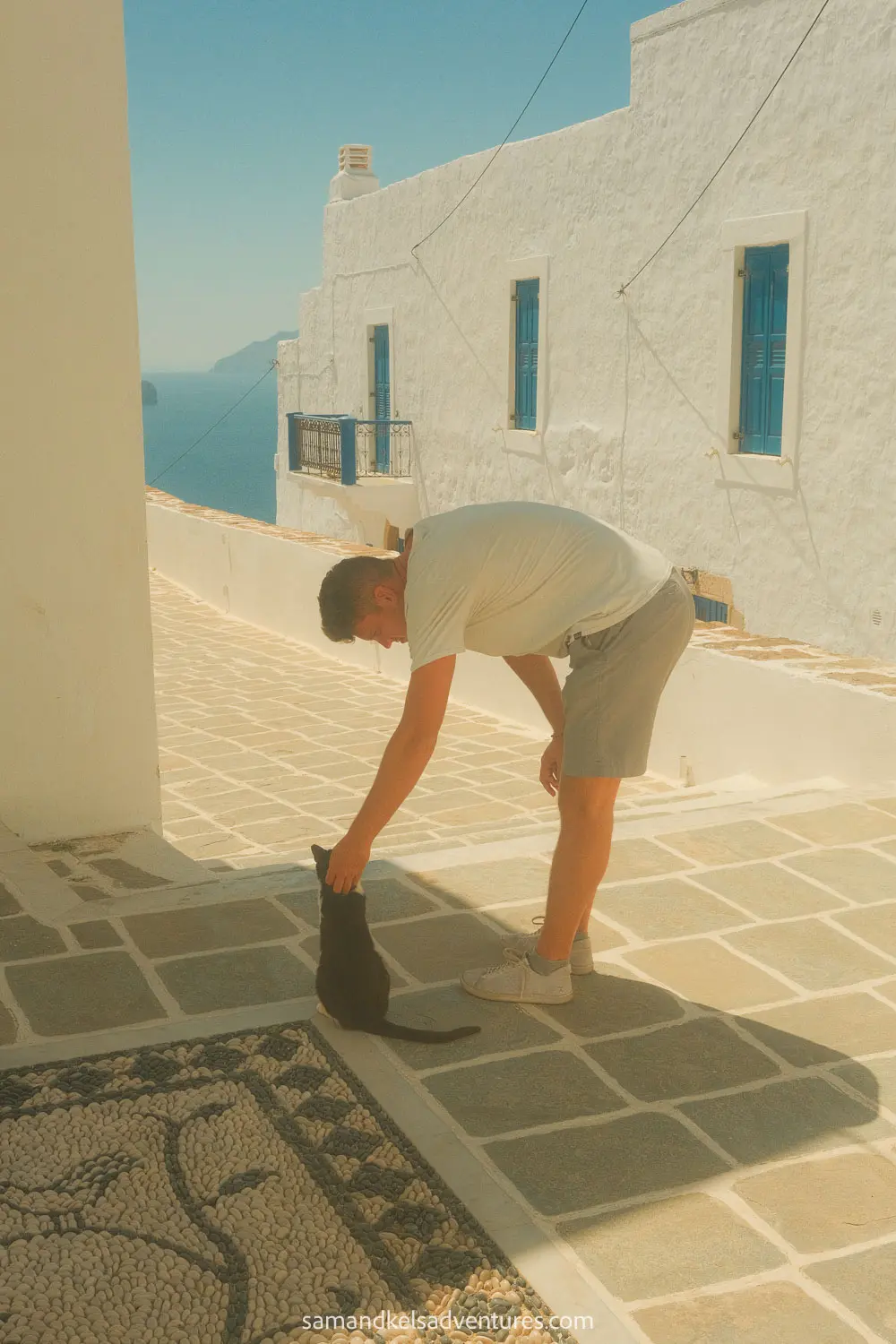 things to do in milos samuel petting black cat