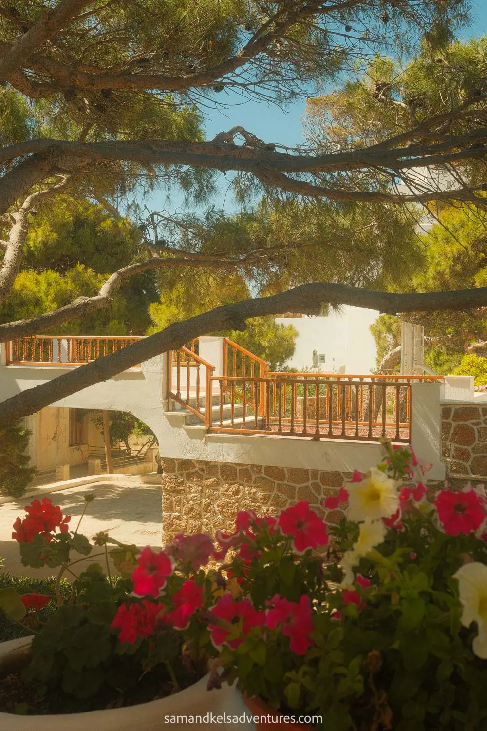 things to do in milos stone walkway with pink flowers