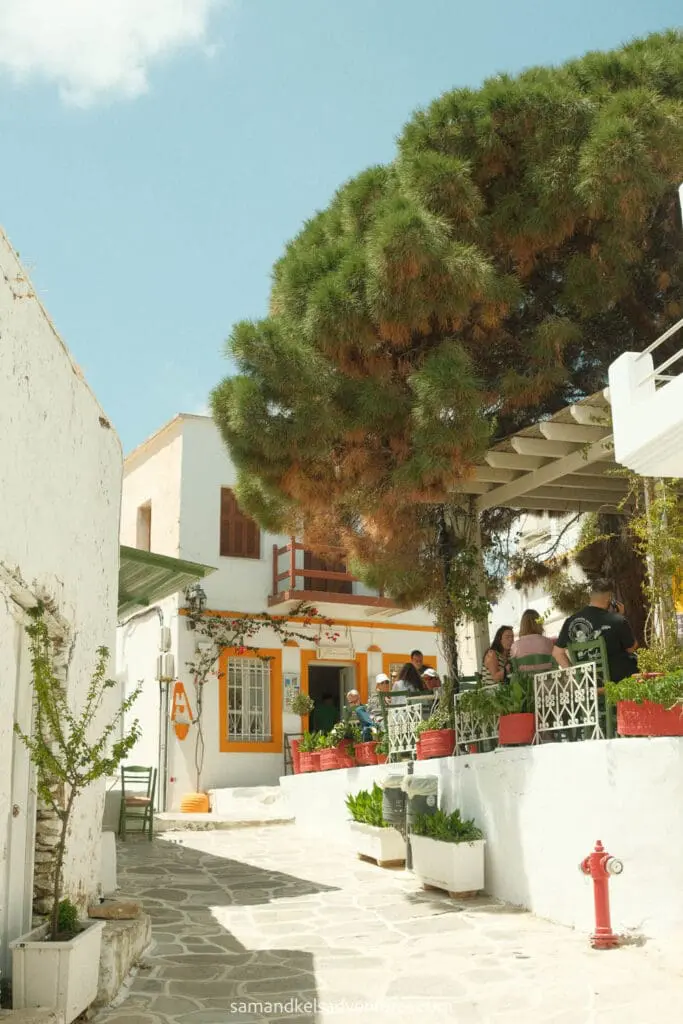 greece island hopping itinerary white streets of lefkes with big green tree