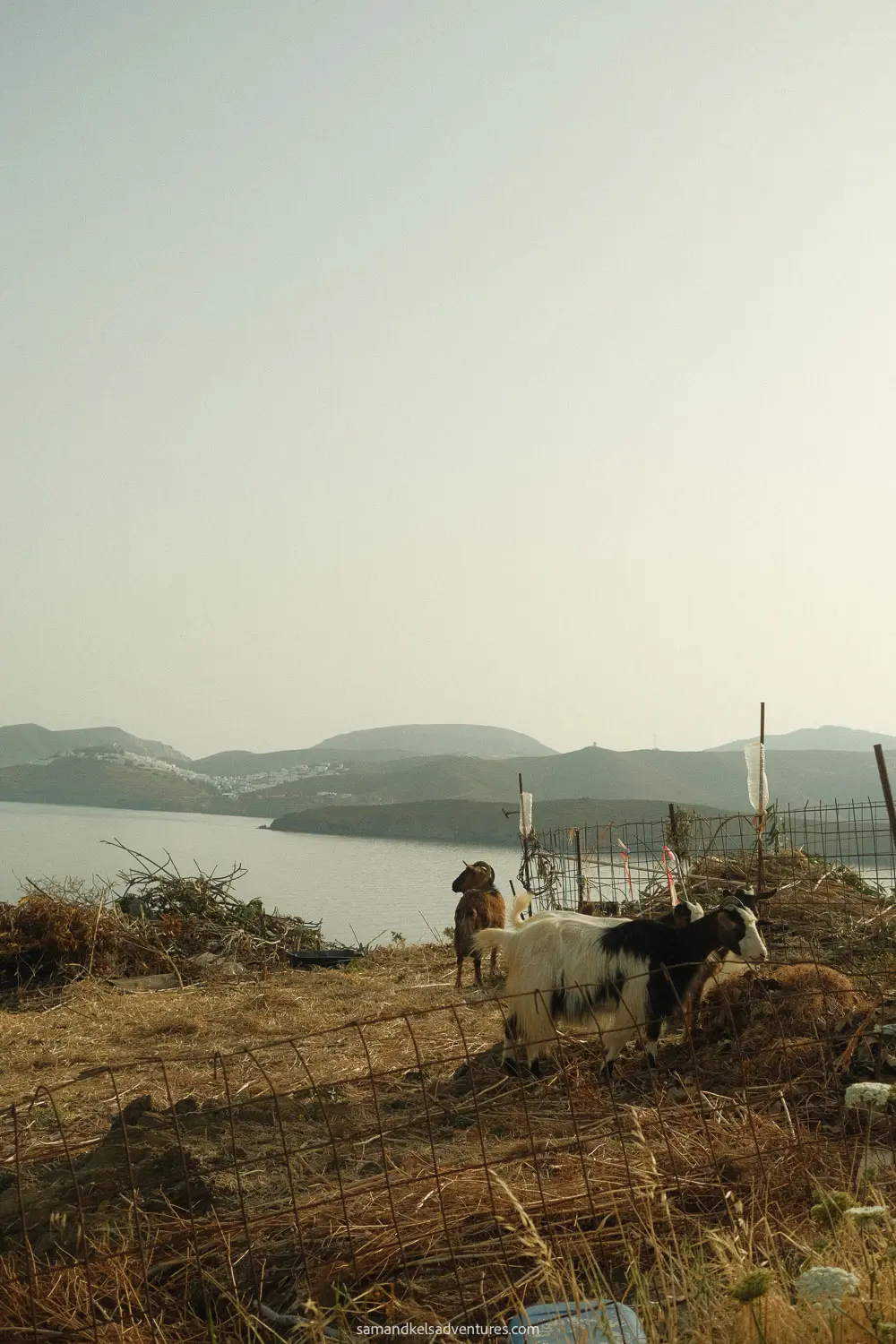 things to do in astypalaia goats and chora in the background