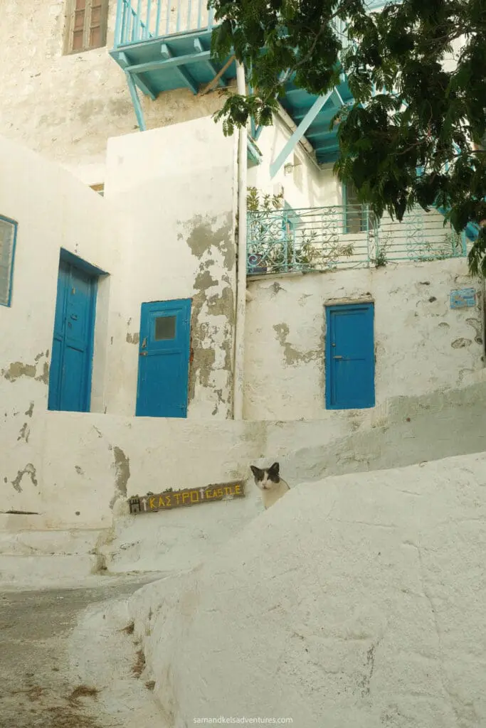 things to do in astypalaia cat peeking out from white buildings with blue doors
